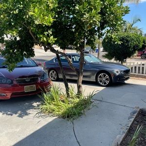 Meet your Posher, Leonardo